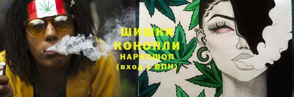 мяу мяу мука Гусев