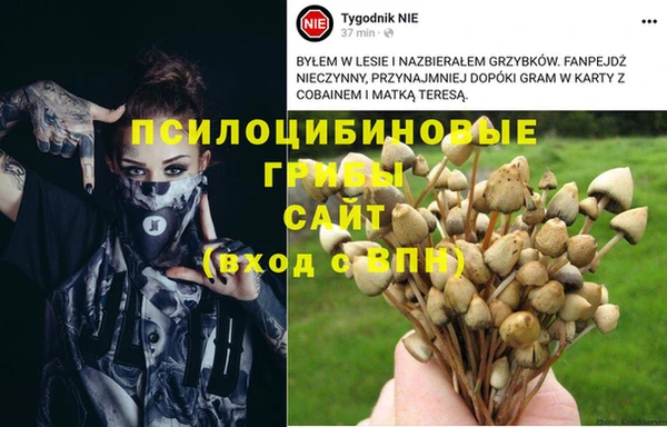 соль курить ск Наволоки