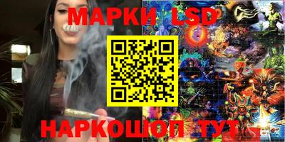 spice Заволжье