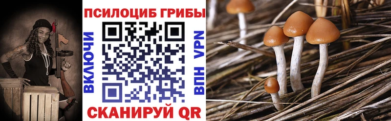 дарнет шоп  Похвистнево  Псилоцибиновые грибы прущие грибы 