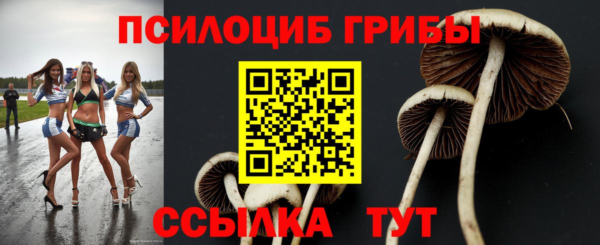 Галлюциногенные грибы прущие грибы Похвистнево